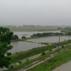 �_�L�����^�� ï���Ǵ����؄�