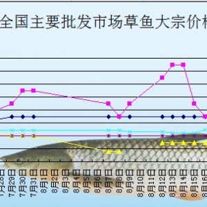 2013��8��16��ȫ��(gu��)��Ҫ���l(f��)�Ј�(ch��ng)���~�r(ji��)������