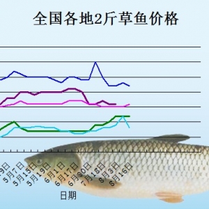 2013��8��19�ո��؅^2����~���^�r