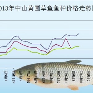 2013��8��19����ɽ�S�Բ��~�N���^�r