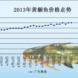 2013��8��19��ȫ���؅^�S��~���^�r