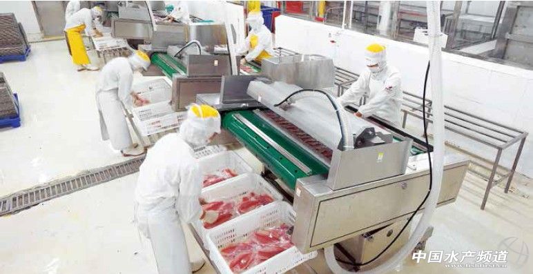 �����_���~��ُ�r����y��