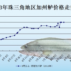 2013��8��21��ȫ��(gu��)���؅^(q��)�����|���^�r(ji��)