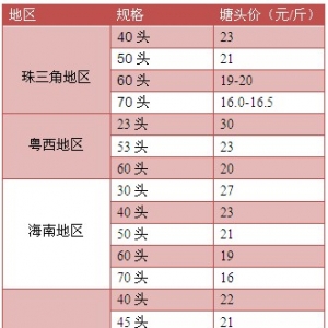 2013��8��19-23�������׌��r�r�������܈�