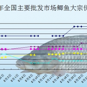 2013��8��23��ȫ����Ҫ���l�Ј��a�~�r������