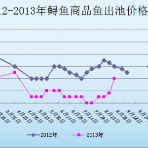 2013��8��26��ɽ�|ұԭ�؅^�\�~�r������