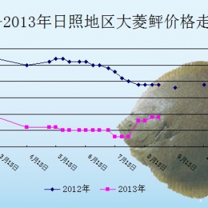 2013��8��5��ɽ�|���յ؅^�����҃r������