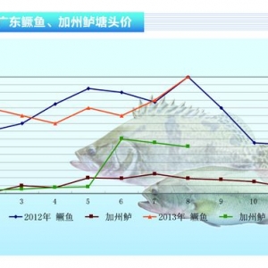 �Z�~�����Ѓr�񿴵�����ˮ�aǰ�ء�2013��9�¿��Ј�څ��