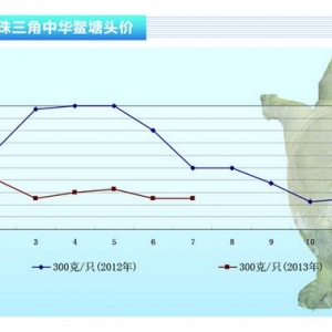 ���~��7���Ҽ��~�r�����fȫ�ИI̝�p����ˮ�aǰ�ء�2013��8�¿��Ј�څ��