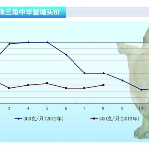 ���~��8�¼��~�������з�������ˮ�aǰ�ء�2013��9�¿��Ј�څ��