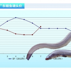 ���~���r���ϝq �������󡪡�ˮ�aǰ�ء�2013��8�¿��Ј�څ��