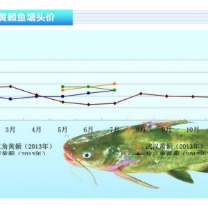 �S��~�������p�� �r������������ˮ�aǰ�ء�2013��8�¿��Ј�څ��