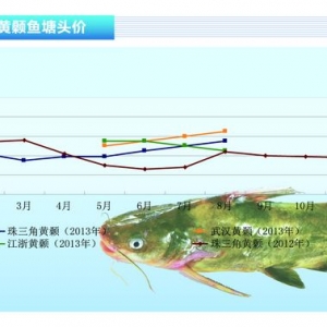 �S��~���r�񷀶�����ˮ�aǰ�ء�2013��9�¿��Ј�څ��