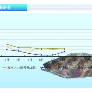 ʯ���~�������ϝq����ˮ�aǰ�ء�2013��9�¿��Ј�څ��