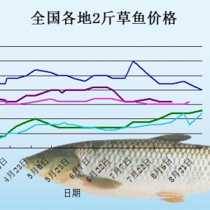 2013��8��25�ո��؅^2����~���^�r