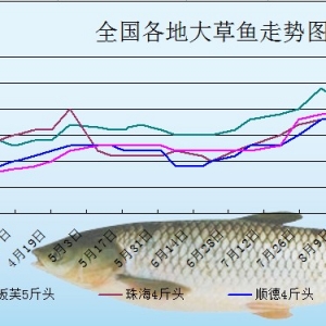 2013��8��25�ո��؅^��Ҏ����~���^�r