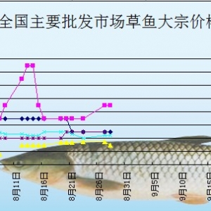 2013��8��28��ȫ��(gu��)��Ҫ���l(f��)�Ј�(ch��ng)���~�r(ji��)������