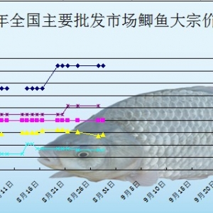 2013��8��28��ȫ����Ҫ���l�Ј��a�~�r������