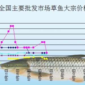 2013��8��29��ȫ��(gu��)��Ҫ���l(f��)�Ј�(ch��ng)���~�r(ji��)������