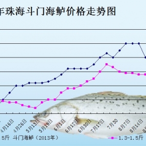 2013��8��29�������ǵ؅^���|���^�r