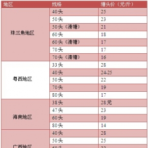 2013��8��26-30�������׌��r�r�������܈�