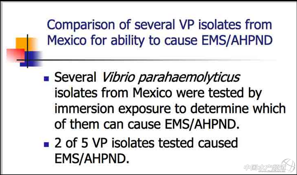 ī���猦�r�_�J(r��n)��ȾEMS