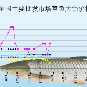 2013��8��30��ȫ��(gu��)��Ҫ���l(f��)�Ј�(ch��ng)���~�r(ji��)������