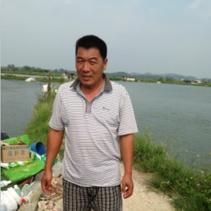 �B�r�����콨�K�������Q���ɔ�