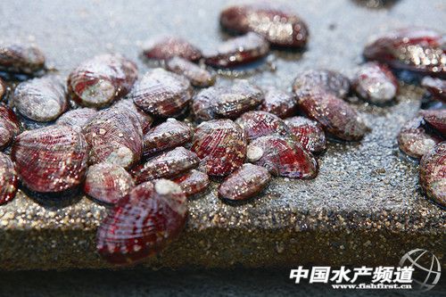 �_���±�ؕ��B�U�a�I��u���K