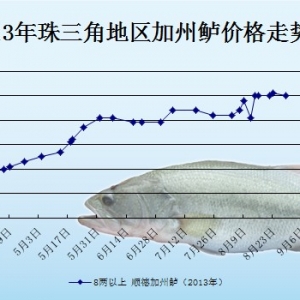 2013��9��3��ȫ�����؅^�����|���^�r