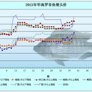 2013��9��1-5���_���~�r�������܈�