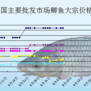 2013��9��5��ȫ����Ҫ���l�Ј��a�~�r������