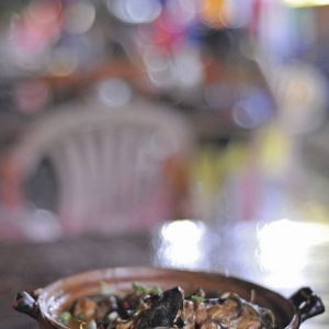 ���ڡ������~�����ؙz��߻���ͪ���x��