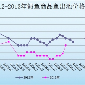 2013��9��2��ɽ�|ұԭ�؅^�\�~�r������