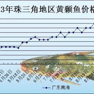 2013��9��6��ȫ���؅^�S��~���^�r