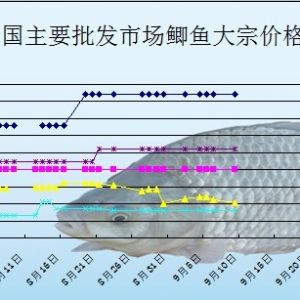 2013��9��9��ȫ����Ҫ���l�Ј��a�~�r������