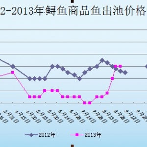 2013��9��9��ɽ�|ұԭ�؅^�\�~�r������