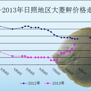 2013��9��9��ɽ�|���յ؅^�����҃r������