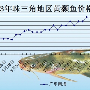 2013��9��9��ȫ���؅^�S��~���^�r