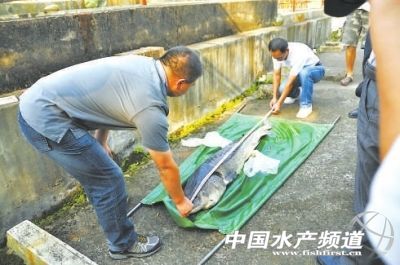 �����B�T���A�\�Bֳ���أ��ڴ��߳�����