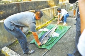 �����B�T���A�\�Bֳ���أ��ڴ��߳�����