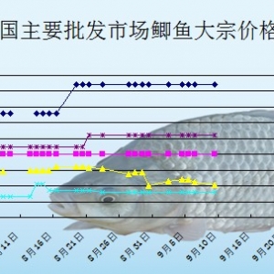 2013��9��13��ȫ����Ҫ���l�Ј��a�~�r������