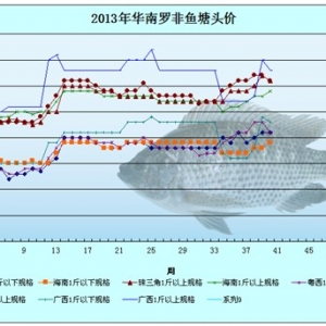 2013��9��9-13���_���~�r�������܈�