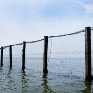 �����O�I(y��)���{�S��ͨ��12.4�f��