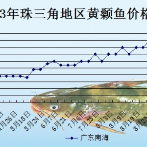 2013��9��16��ȫ���؅^�S��~���^�r��