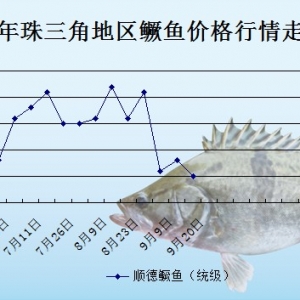 2013��9��16�������ǵ؅^�Z�~�r������