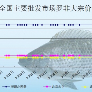 2013��9��16��ȫ����Ҫ���l�Ј��_���~�r������