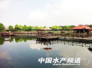 �Ƽ���׌�F���r�I��e��������