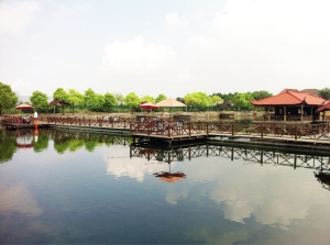 �Ƽ���׌�F���r�I��e��������