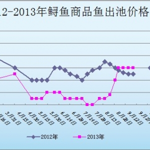 2013��9��23��ɽ�|ұԭ�؅^�\�~�r������